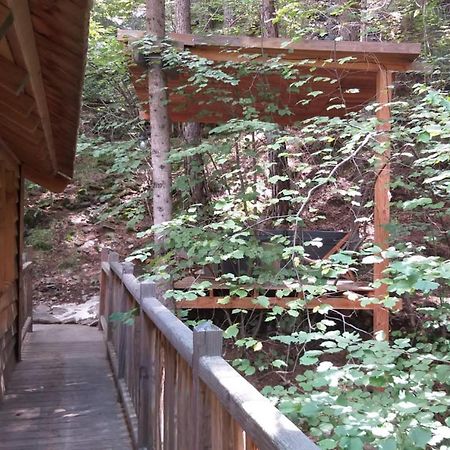 Les Cabanes Des Pins Sylvestres Saint-Martin-Vesubie Bagian luar foto