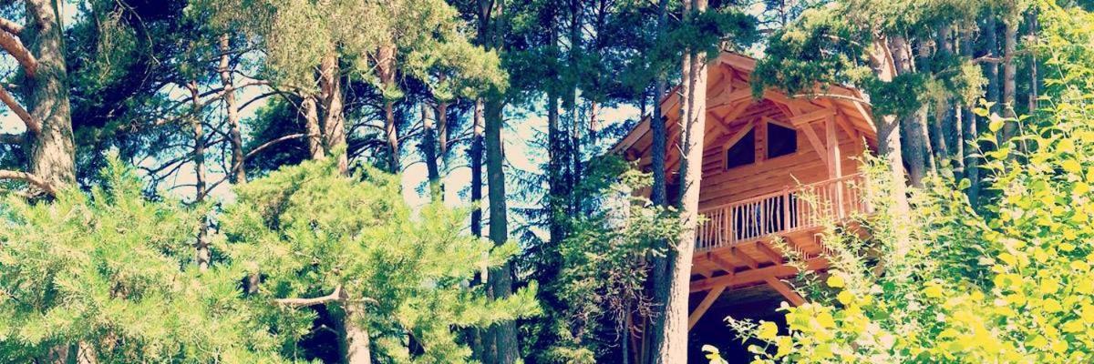 Les Cabanes Des Pins Sylvestres Saint-Martin-Vesubie Bagian luar foto