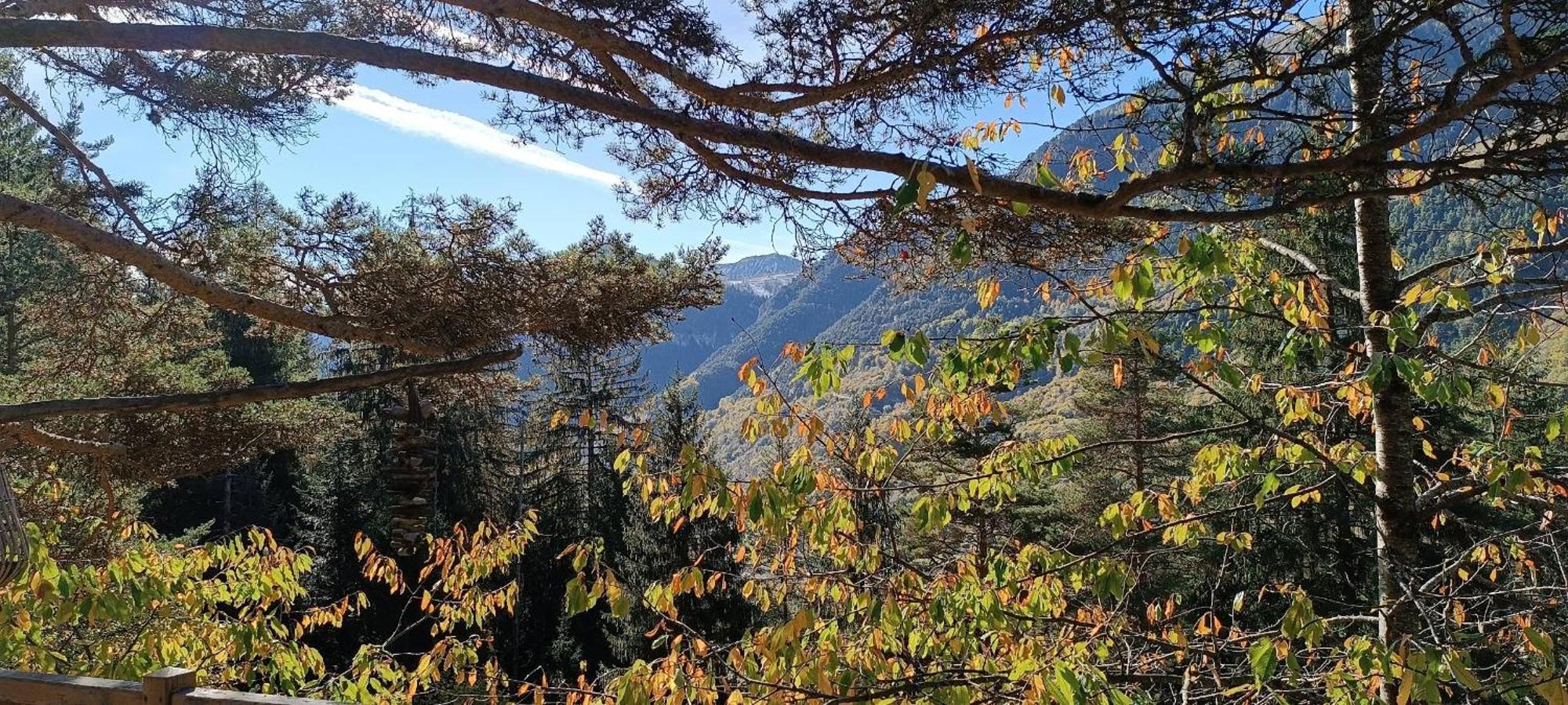 Les Cabanes Des Pins Sylvestres Saint-Martin-Vesubie Bagian luar foto